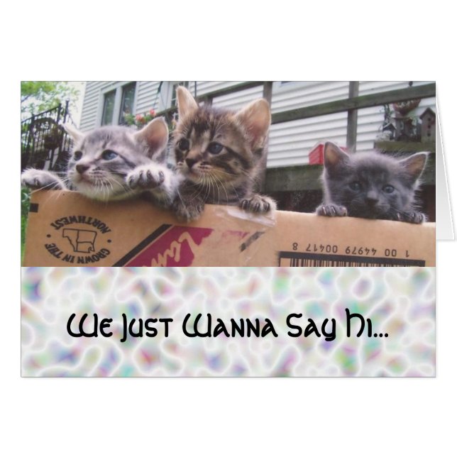 We Just Wanna Say Hi... (Front Horizontal)