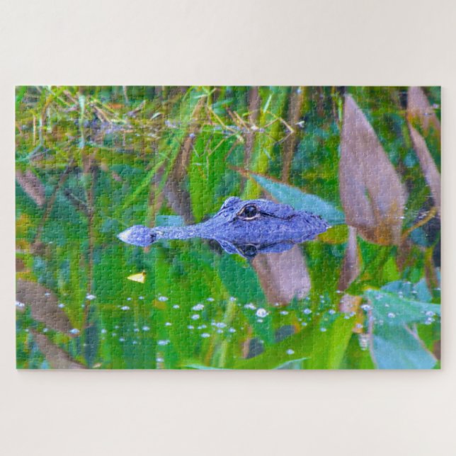 We Love Aligators in Florida Jigsaw Puzzle (Horizontal)