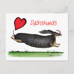 we luv dachshunds from Tony Fernandes Postcard