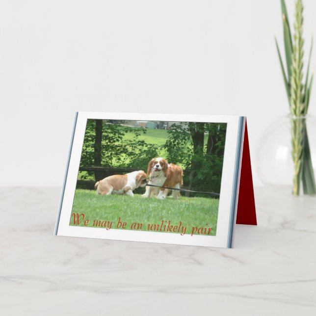 We May Be an Unlikely Pair Card (Front)