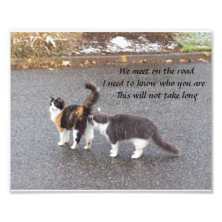 We meet on the road Haiku Photo Print