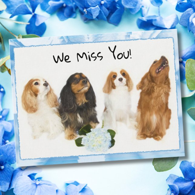 We Miss You! 4 Cavalier King Charles Postcard (Creator Uploaded)