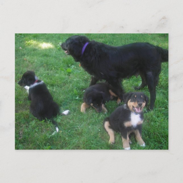 We Miss you Postcard (Front)