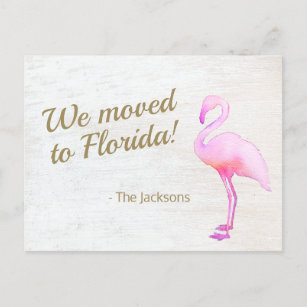 We Moved To Florida Flamingo Postcard