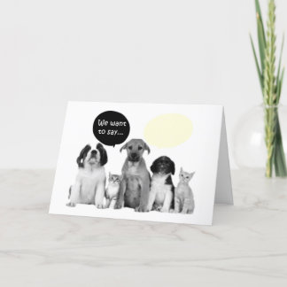WE (PACK OF DOGGIES) SAY HAPPY BIRTHDAY CARD