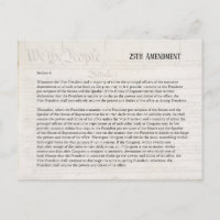 We the People 25th Amendment Constitution Resist