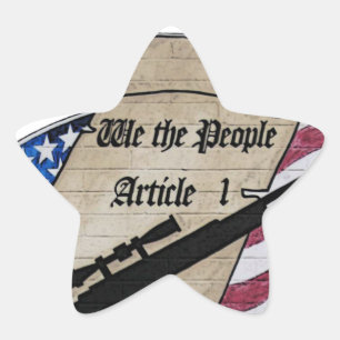 ( We The People ) Article 1 2nd Amendment Guns and Star Sticker
