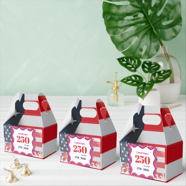 We The Silly Geese 250th Funny Celebration Favour Box (Multiple)