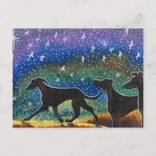We three greyhound dogs postcard