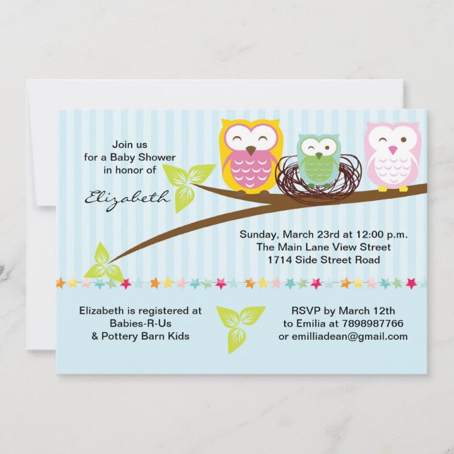 We three owl family baby shower invitation (Front)