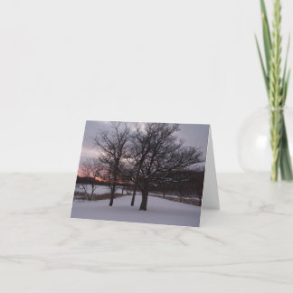 We Three Trees.... Holiday Card