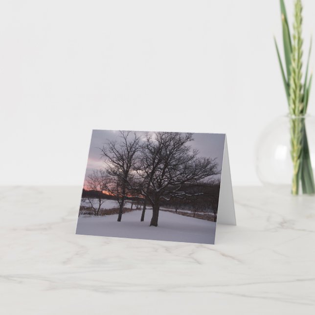 We Three Trees.... Holiday Card (Front)