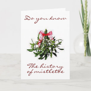 WE WILL USE MISTLETOE TO "KISS UNDER" AT CHRISTMAS HOLIDAY CARD