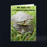 We wish you a turtle Christmas! Holiday Card<br><div class="desc">Spread the double decker turtle cheer to all of your loved ones.</div>