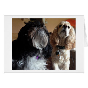 WE WISH "YOU" A VERY HAPPY "BIRTHDAY!"