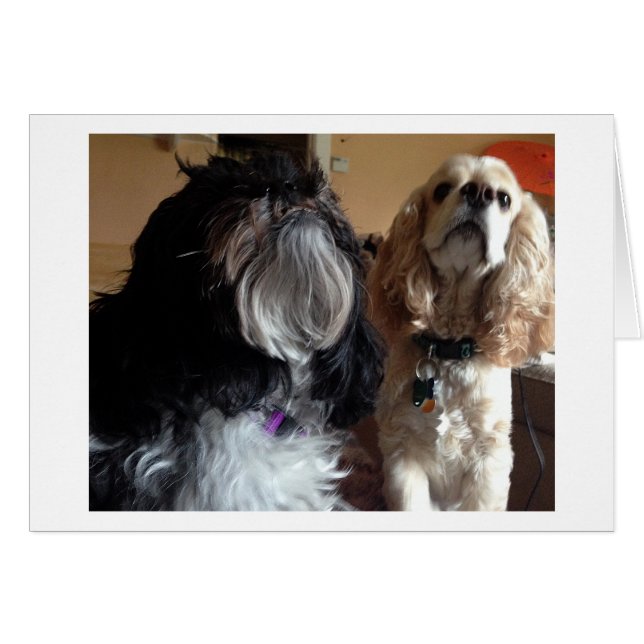 WE WISH "YOU" A VERY HAPPY "BIRTHDAY!" (Front Horizontal)