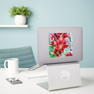 Wealth & Prosperity Lily – Floral