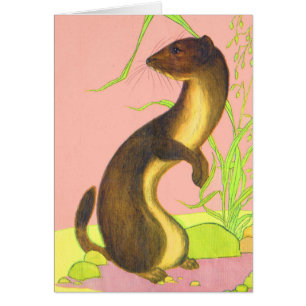 weasel