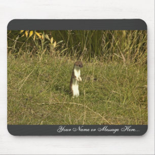 Weasel, Short-tailed Mouse Pad