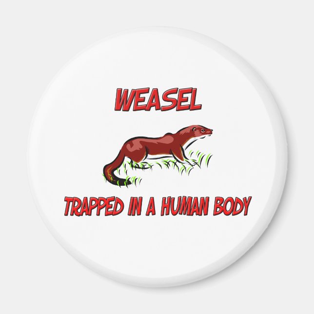 Weasel trapped in a human body magnet (Front)