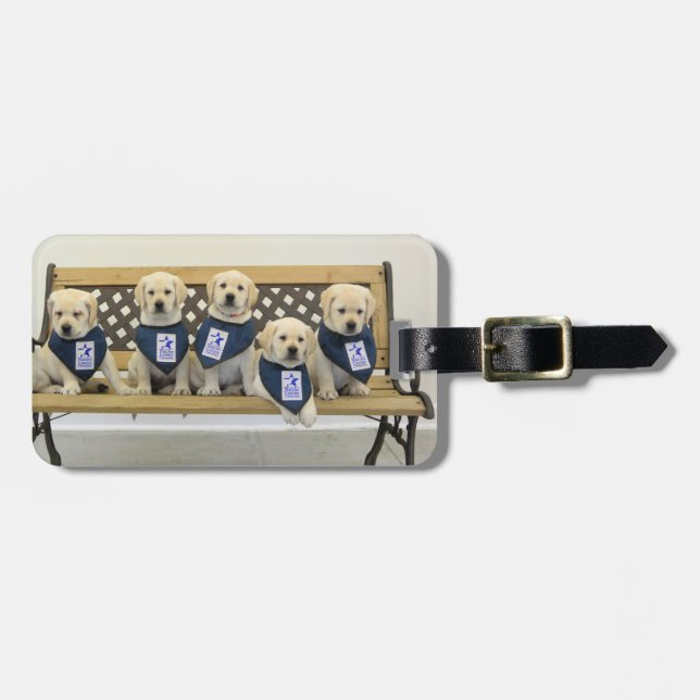 Weather Bench Luggage Tag - Personalised (Front Horizontal)