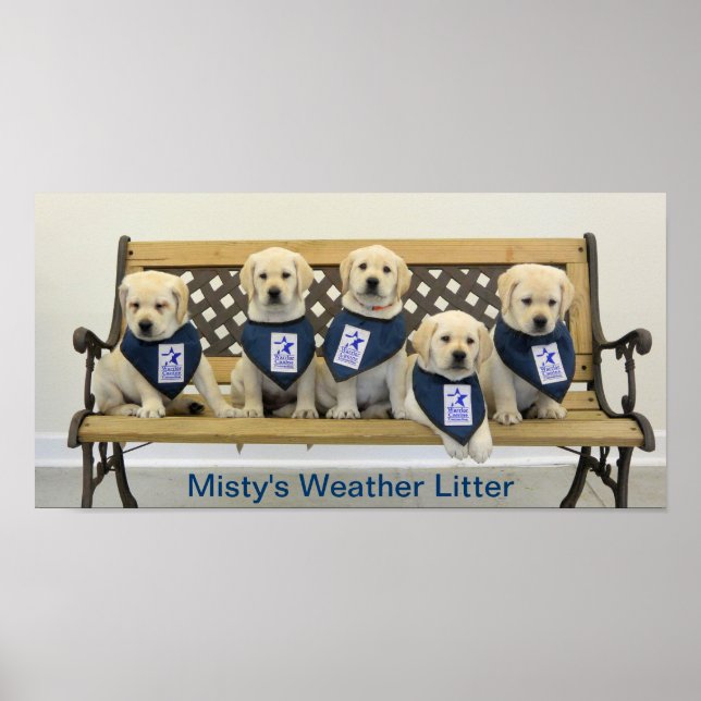 Weather Bench Poster (Front)