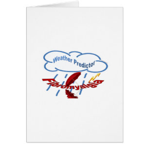 Weather Predictor