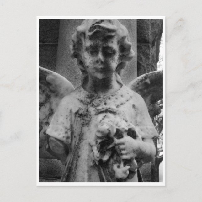 Weathered Beauty, Cabinet card (Front)