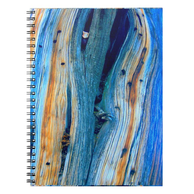 weathered blue barn boards spiral notebook (Front)