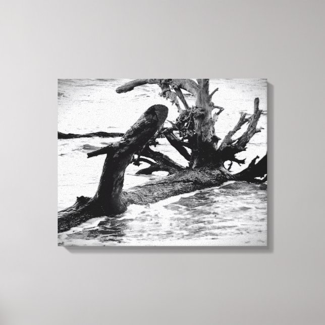Weathered Driftwood on the Shore Canvas Print (Front)