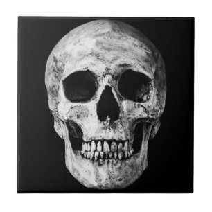Weathered Old Skull - Black & White Tile