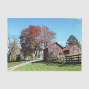 Weathered Red Barns With Tall Grasses & Fence Tissue Paper