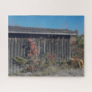 Weathered Shed with Encroaching Green Jigsaw Puzzle