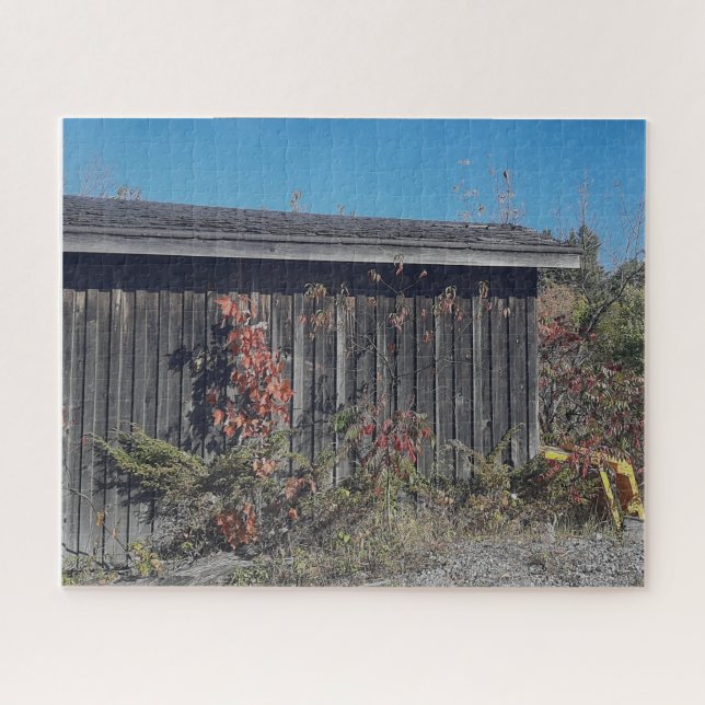 Weathered Shed with Encroaching Green Jigsaw Puzzle (Horizontal)