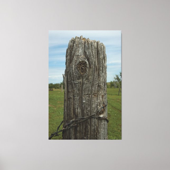 Weathered Sod Home Fence Post - Wild Places Photog Canvas Print (Front)