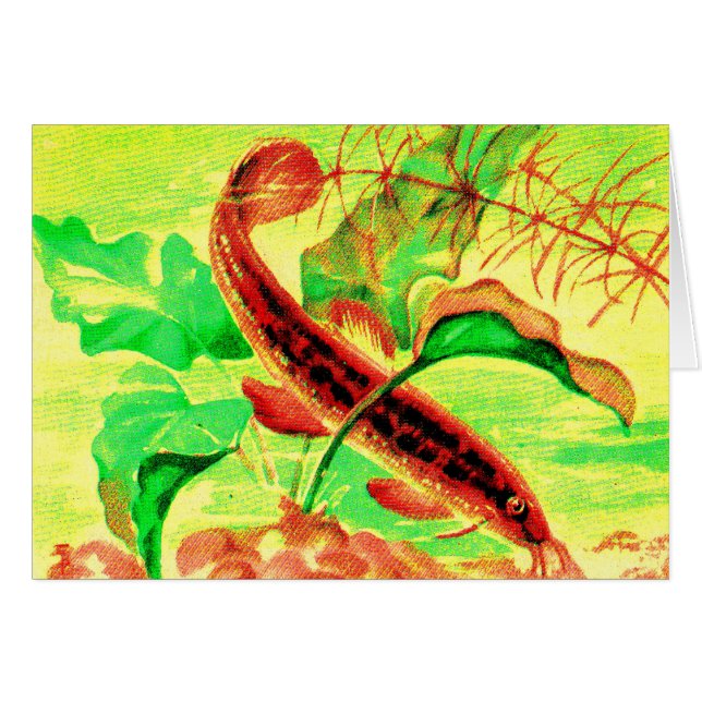 weatherfish (Front Horizontal)