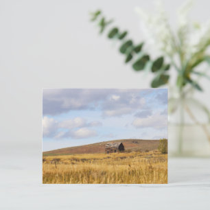 Weathering the Stillness Postcard