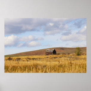 Weathering the Stillness  Poster