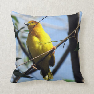 Weaver Bird Pillow