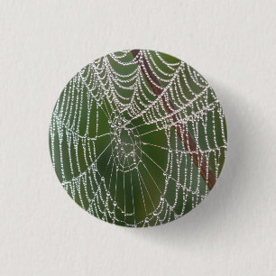 Web - Button