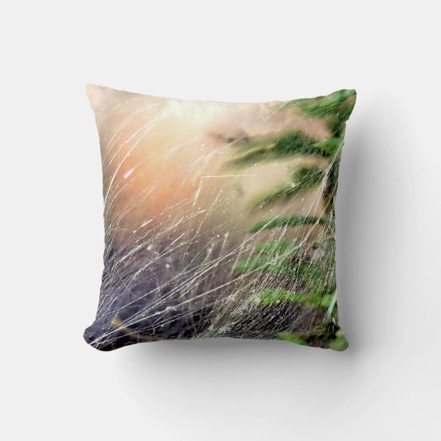 Web design cushion (Front)