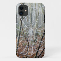 Web of European Garden Spider iPhone Case