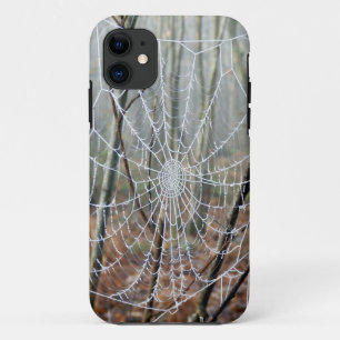 Web of European Garden Spider iPhone Case