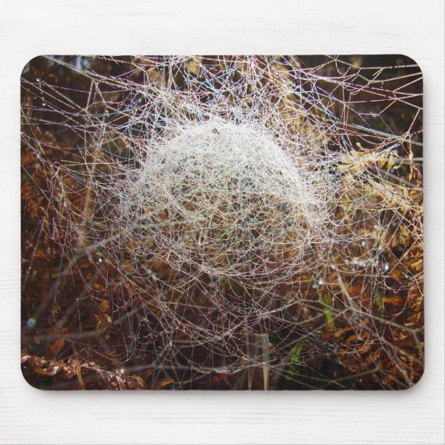 Web of Filmy Dome Spider Mouse Mat (Front)