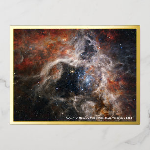 Webb Tarantula Nebula Image, Gold Foil Postcard