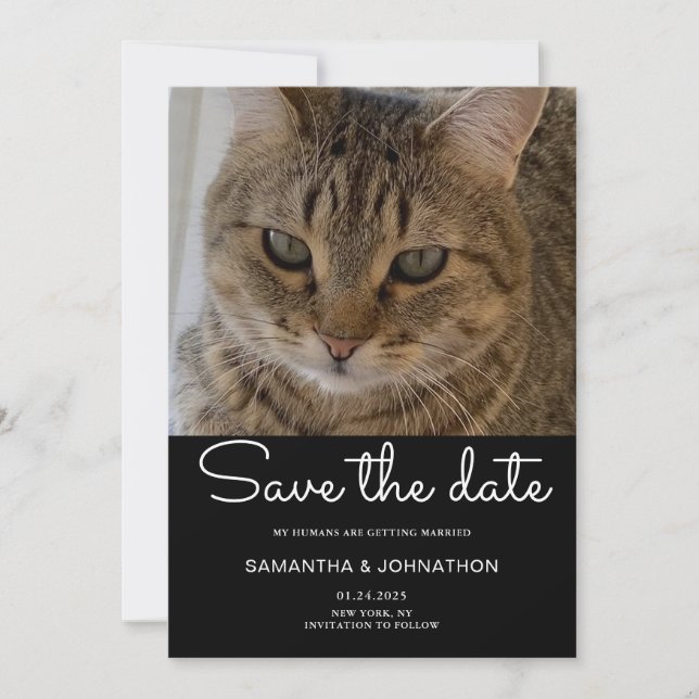 Wedding Cat Photo  Save The Date (Front)