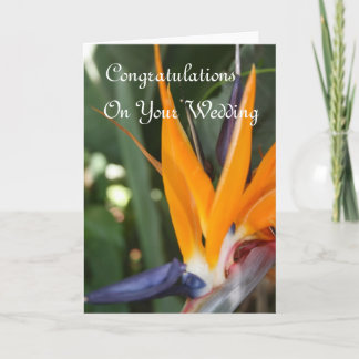 Wedding Congratulations Bird Of Paradise Card
