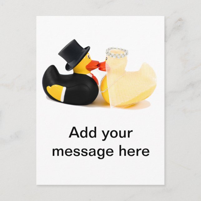 Wedding ducks 2 postcard (Front)