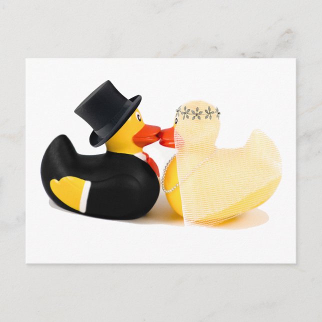 Wedding ducks 3 postcard (Front)