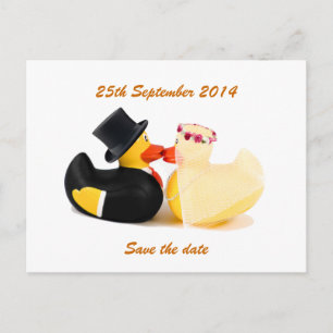 Wedding ducks 4 ... Postcard